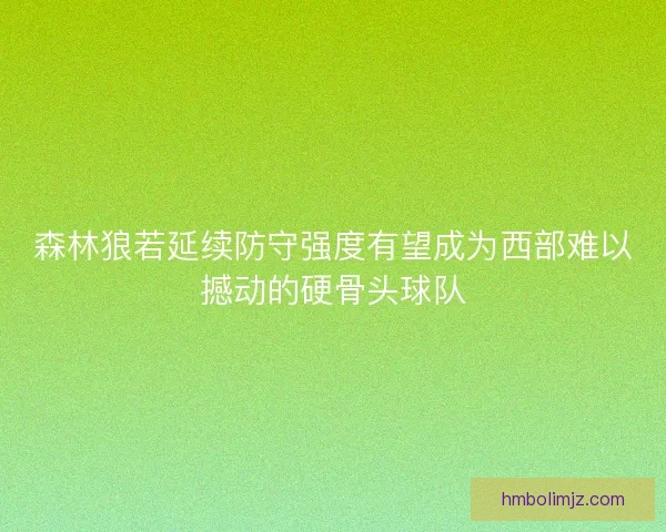森林狼若延续防守强度有望成为西部难以撼动的硬骨头球队