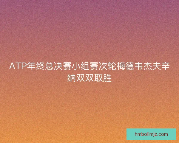ATP年终总决赛小组赛次轮梅德韦杰夫辛纳双双取胜