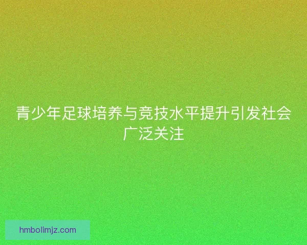 青少年足球培养与竞技水平提升引发社会广泛关注